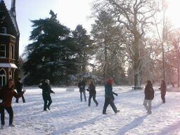 throwing snowballs